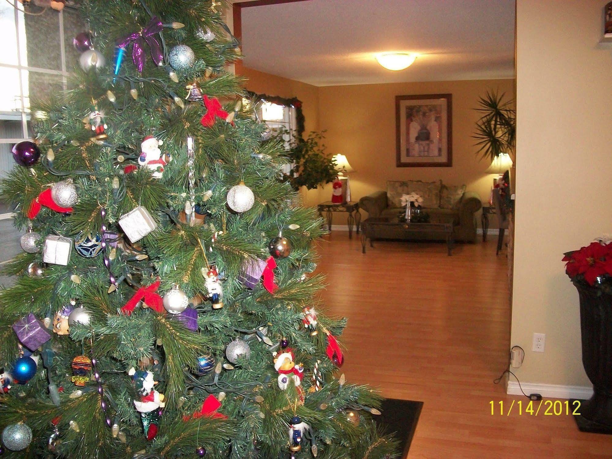 Schell Motel Express Vernon Bagian luar foto